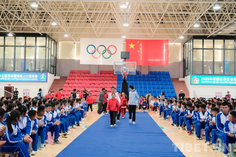 2025年西藏自治区全民健身主题活动暨残障人士运动会在举办(图8)